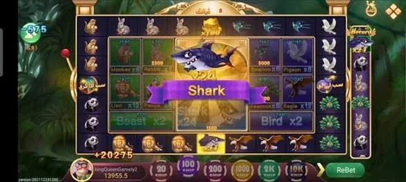 Teen Patti Ludo Pakistan slots